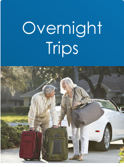 seniors on the go travel tours