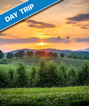 merciers orchards blairsville stop